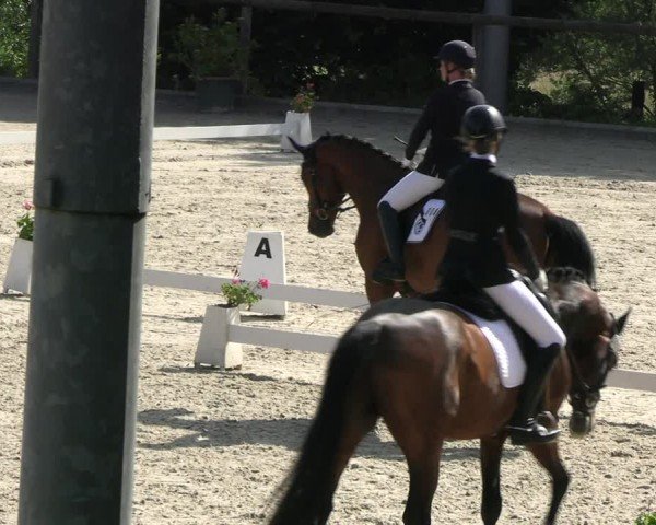 Reitturnier Erkrath - Uhlenhof 2024