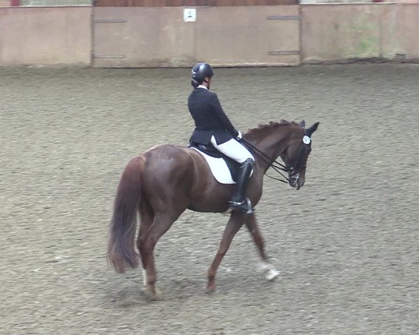 Reitturnier Herzebrock-Rheda 2021