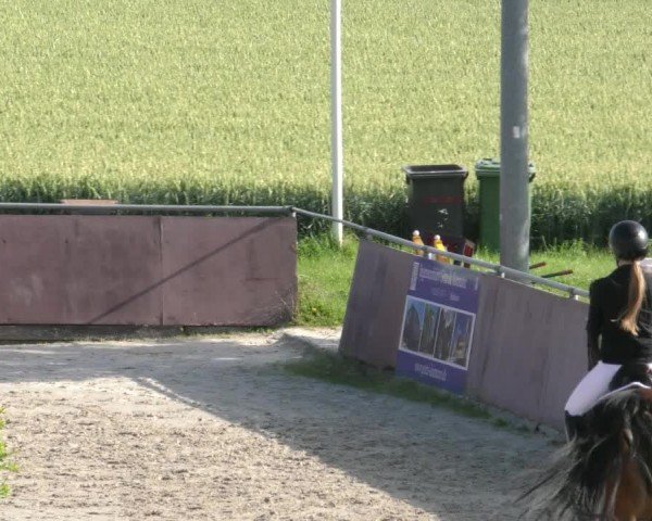 Reitturnier Harsum-Hüddessum 2024