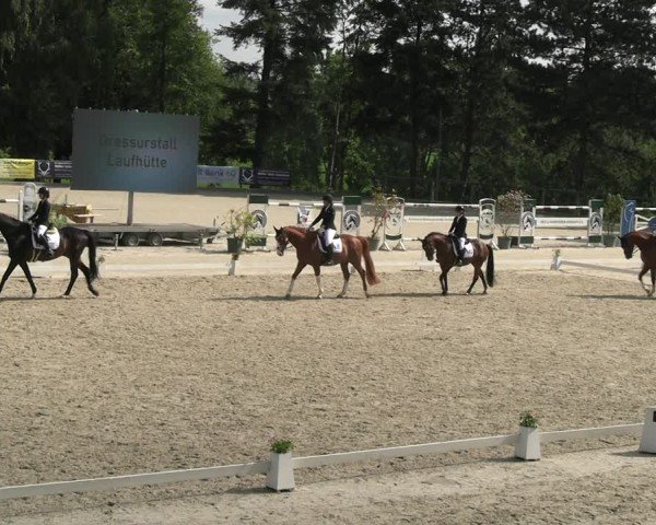Reitturnier Erkrath - Uhlenhof 2024