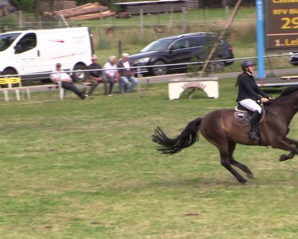 Reitturnier Uenze 2024