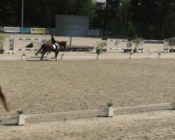 Reitturnier Erkrath - Uhlenhof 2024