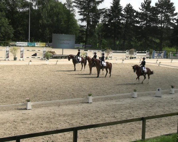 Reitturnier Erkrath - Uhlenhof 2024