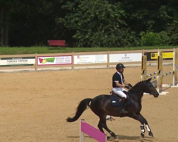 Reitturnier Tiefenhof/Opf. 2024