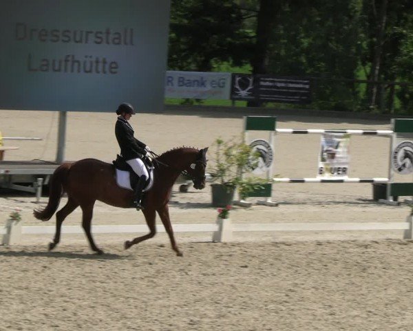 Reitturnier Erkrath - Uhlenhof 2024