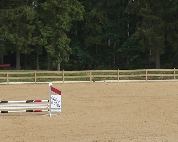 Reitturnier Tiefenhof/Opf. 2024