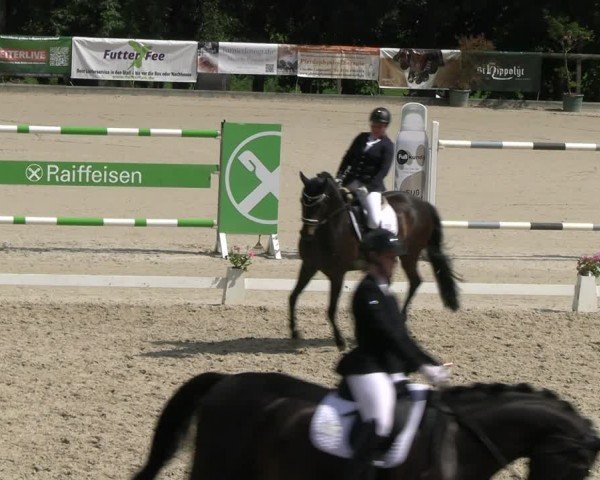 Reitturnier Erkrath - Uhlenhof 2024