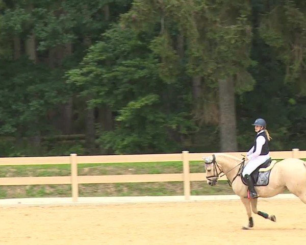 Reitturnier Tiefenhof/Opf. 2024