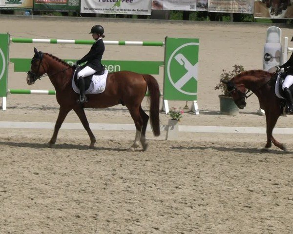 Reitturnier Erkrath - Uhlenhof 2024