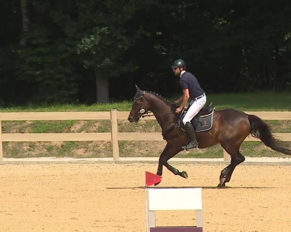 Reitturnier Tiefenhof/Opf. 2024