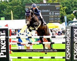 jumper Steife Brise (Hanoverian, 2015, from Stolzenberg)