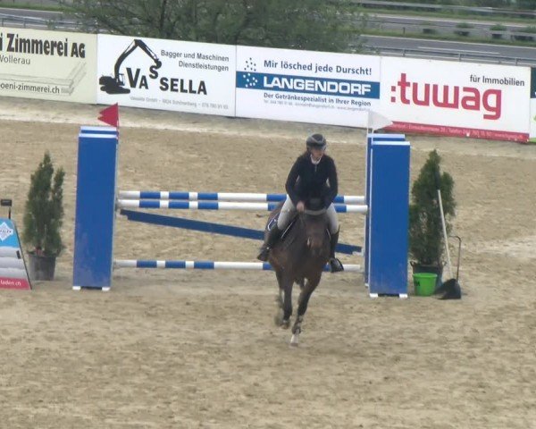 Reitturnier Wädenswil 2024