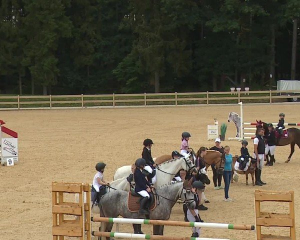 Reitturnier Tiefenhof/Opf. 2024