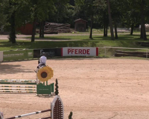 Reitturnier Stadl-Paura 2024