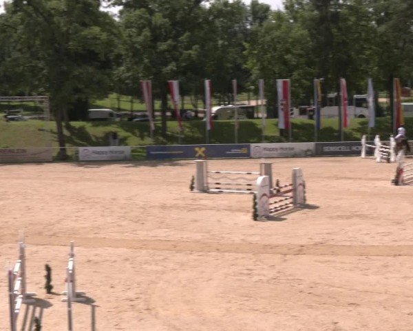 Reitturnier Stadl-Paura 2024