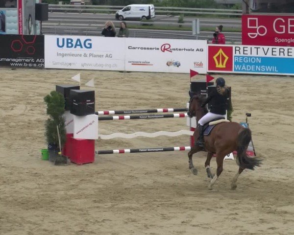 Reitturnier Wädenswil 2024