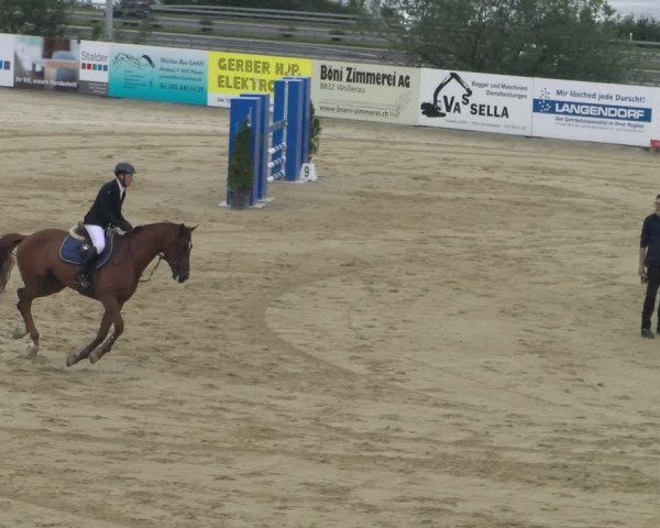 Reitturnier Wädenswil 2024