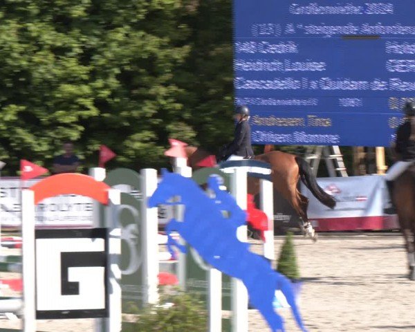 Reitturnier Großenwiehe 2024