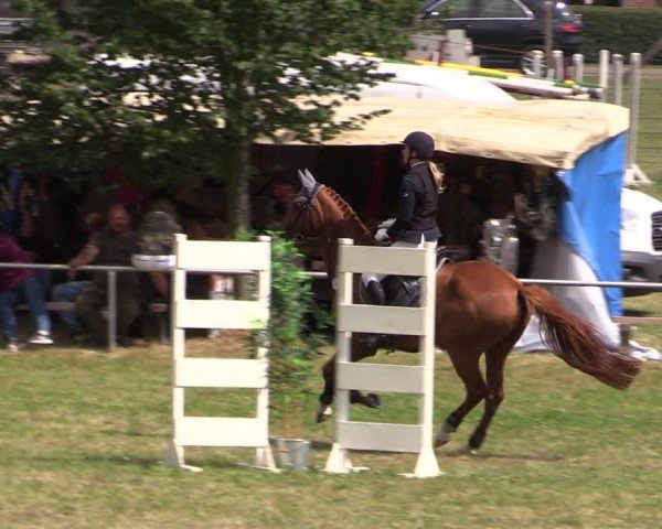 Reitturnier Uenze 2024