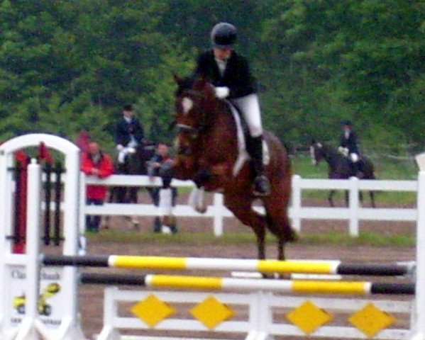 horse Latoja (Hessian Warmblood, 2001, from Latouro)