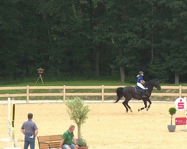 Reitturnier Tiefenhof/Opf. 2024