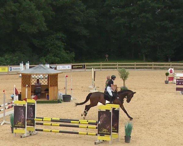 Reitturnier Tiefenhof/Opf. 2024