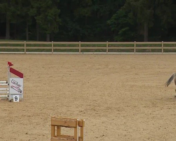 Reitturnier Tiefenhof/Opf. 2024