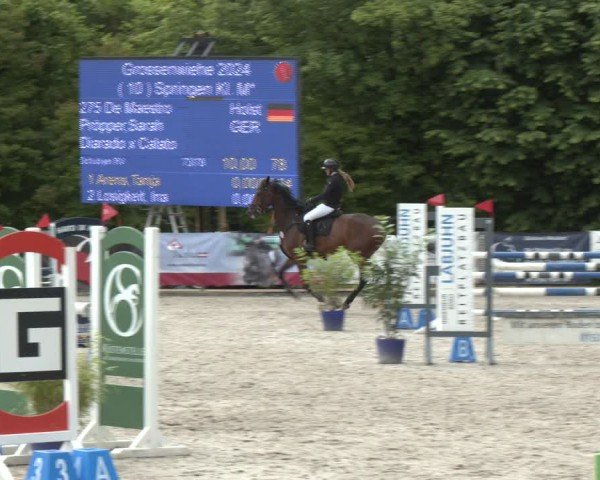 Reitturnier Großenwiehe 2024