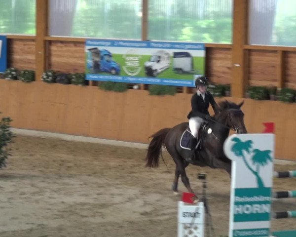 Springturnier Xanten - Reitanlage Miss 2021