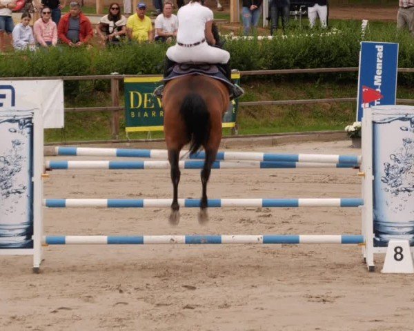 Reitturnier Waldenbuch-Hasenhof 2024