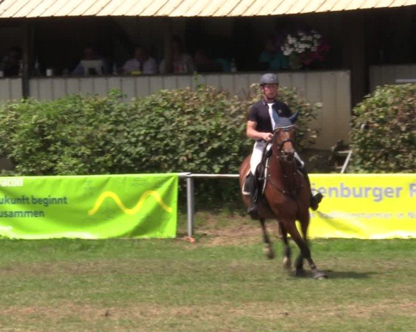 Reitturnier Nienburg 2024