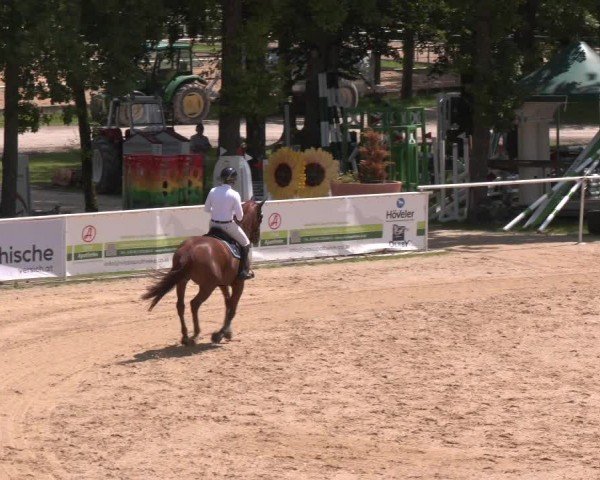 Reitturnier Stadl-Paura 2024