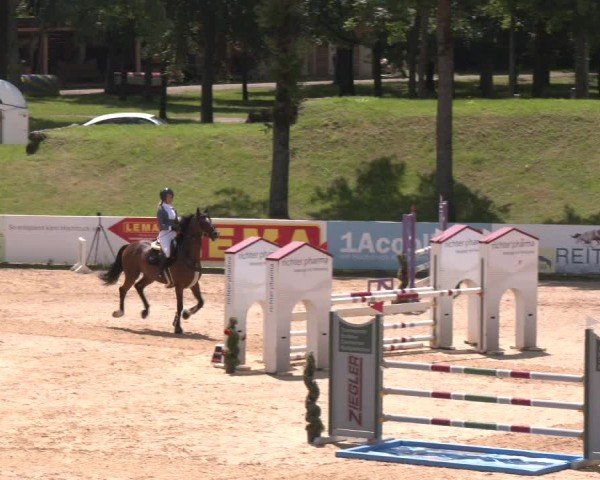 Reitturnier Stadl-Paura 2024