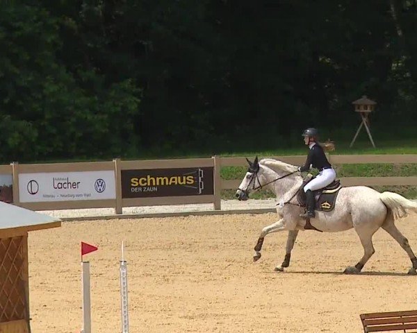 Reitturnier Tiefenhof/Opf. 2024