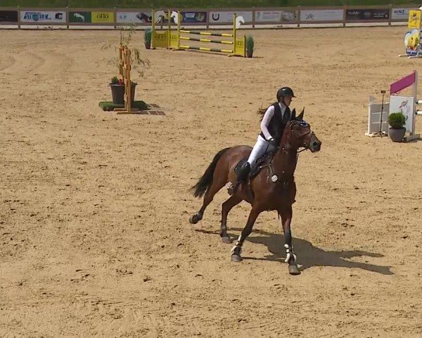 Reitturnier Tiefenhof/Opf. 2024