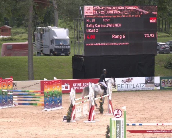 Reitturnier Stadl-Paura 2024