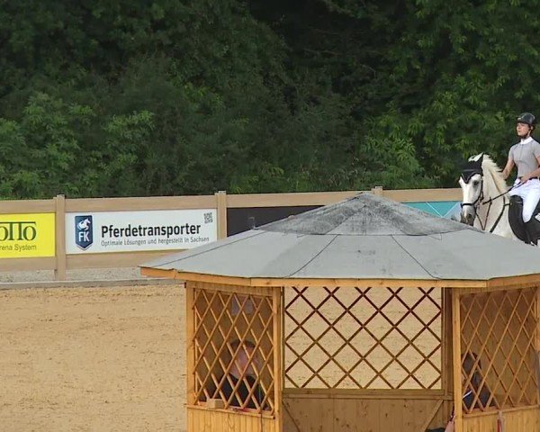 Reitturnier Tiefenhof/Opf. 2024