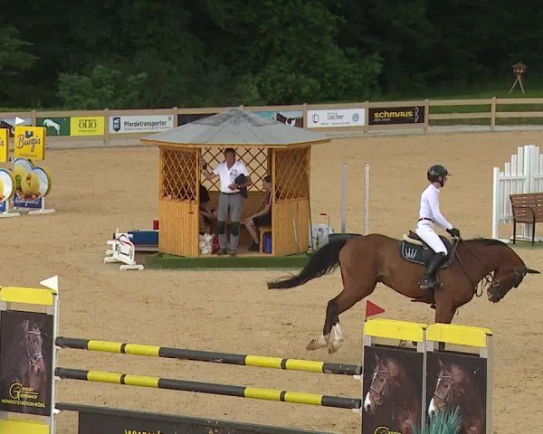 Reitturnier Tiefenhof/Opf. 2024