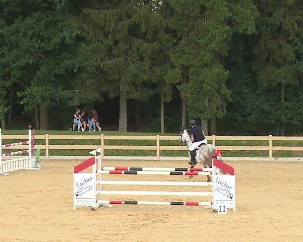 Reitturnier Tiefenhof/Opf. 2024