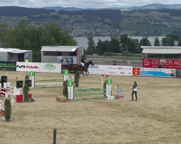 Reitturnier Wädenswil 2024