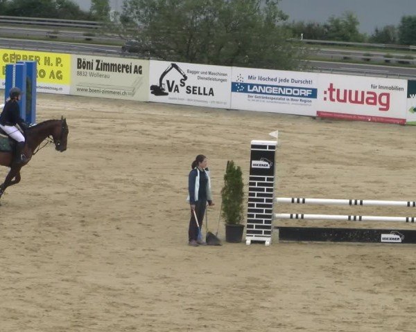 Reitturnier Wädenswil 2024