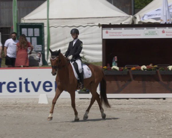 Reitturnier Holschdubrau 2024