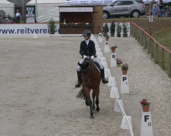 Reitturnier Holschdubrau 2024