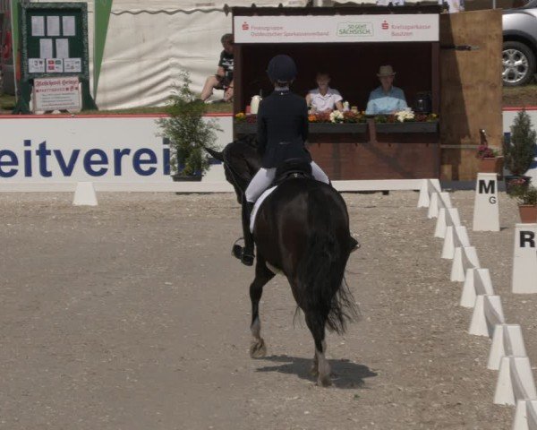 Reitturnier Holschdubrau 2024