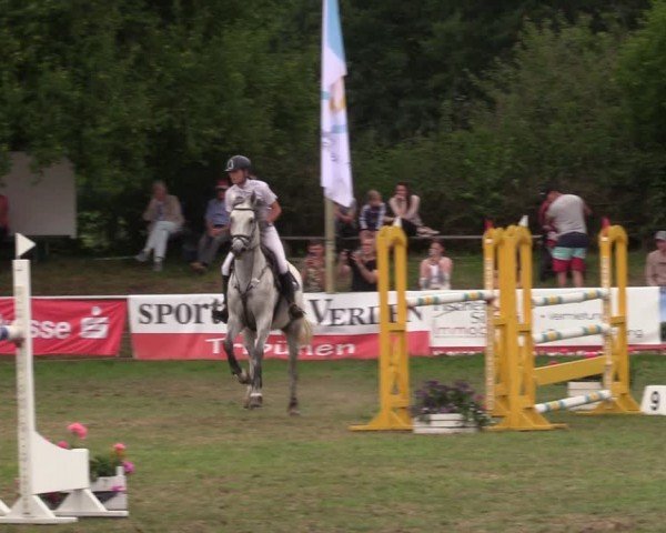 Reitturnier Nienburg 2024
