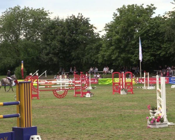 Reitturnier Nienburg 2024
