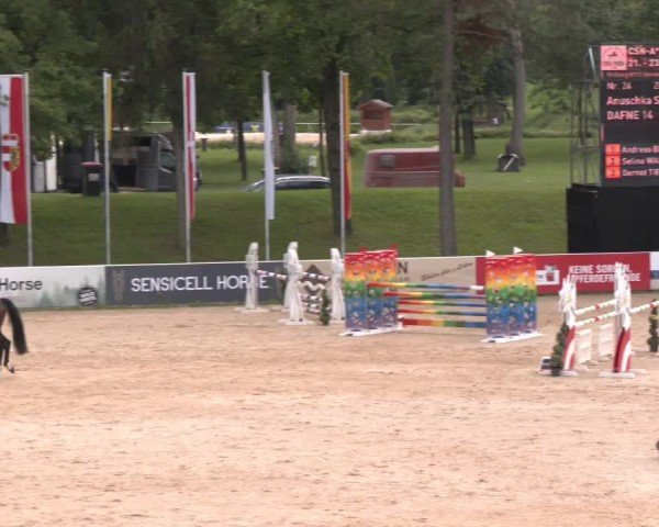 Reitturnier Stadl-Paura 2024