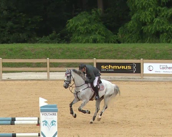 Reitturnier Tiefenhof/Opf. 2024