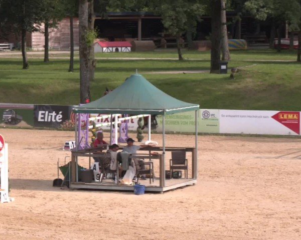 Reitturnier Stadl-Paura 2024