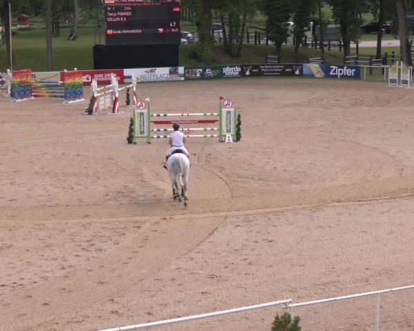 Reitturnier Stadl-Paura 2024